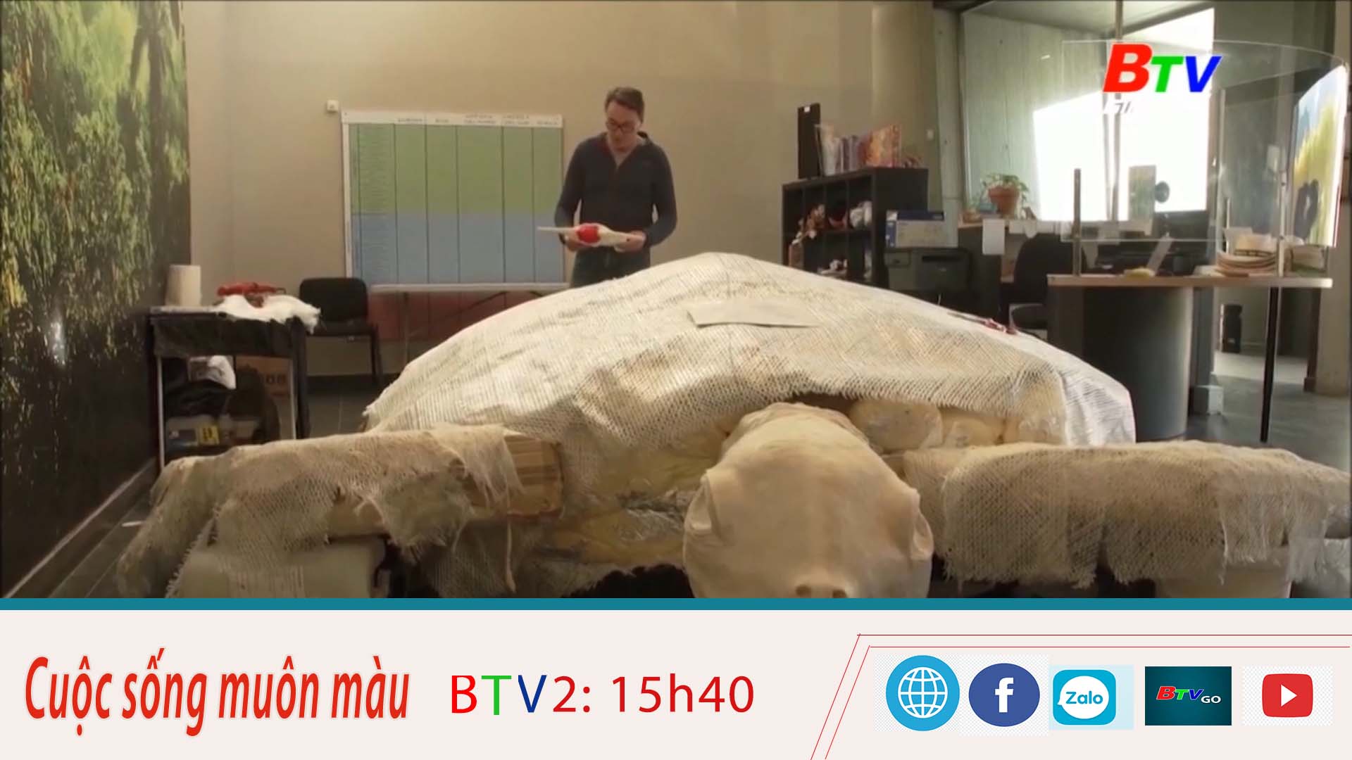 Phát hiện hóa thạch loài rùa lớn bằng chiếc xe hơi